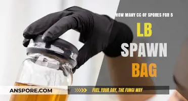 Optimal Spore Syringe Volume for 5-Pound Spawn Bags: A Guide