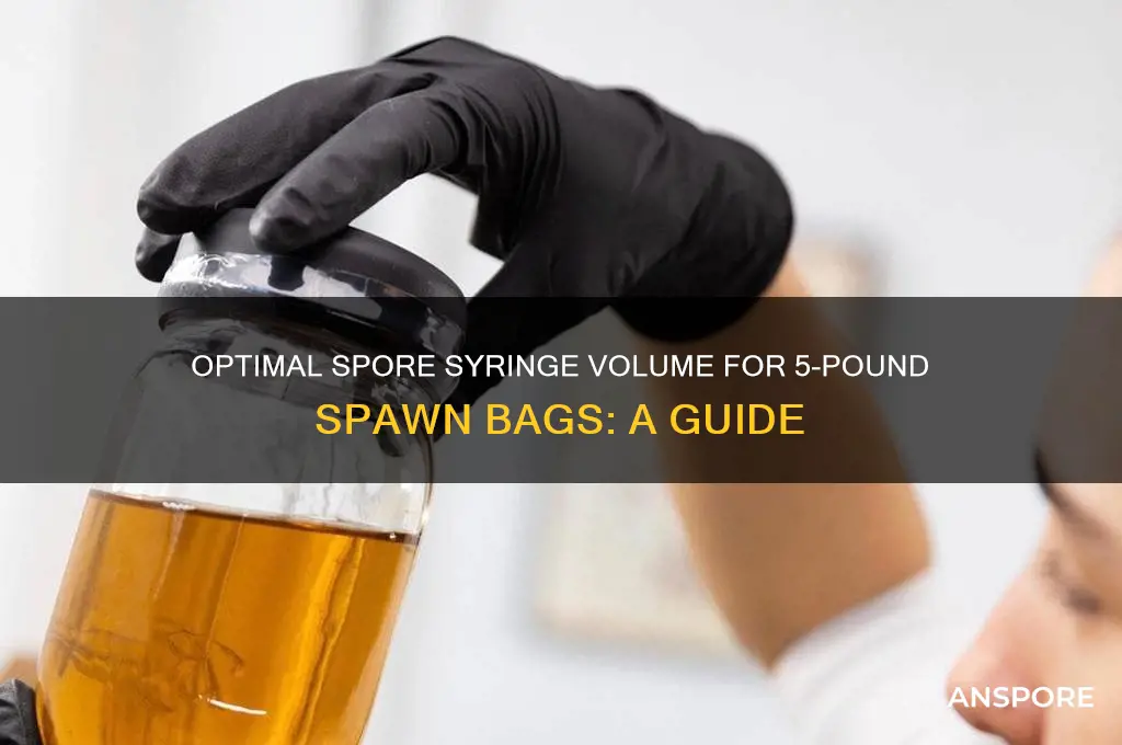 how many cc of spores for 5 lb spawn bag