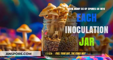 Optimal Spore Volume for Inoculation Jars: A Precise Guide