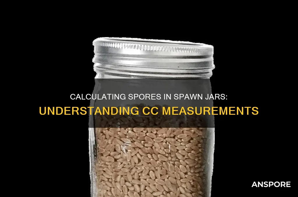 how many cc of spores in spawn jar