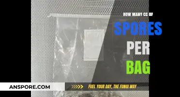 Optimal Spore Count: How Many CC of Spores per Bag?