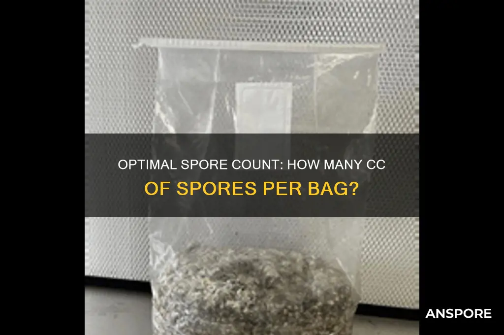 how many cc of spores per bag