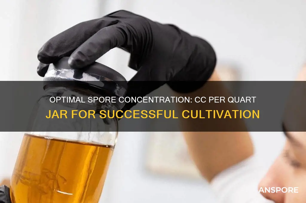 how many cc of spores per quart jar