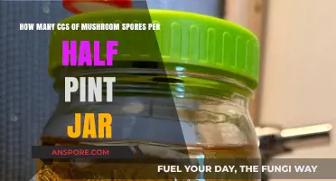 Cultivating Mushrooms: CCs to Half-Pint Jars