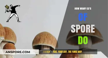 Understanding Spore Syringe Dosage: How Many CCs Are Optimal?