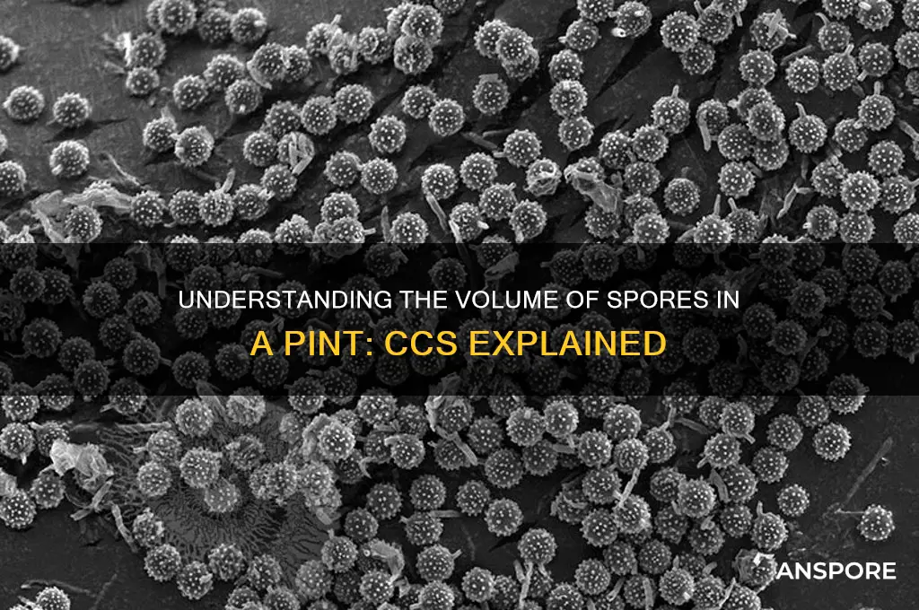 how many ccs of spores pint