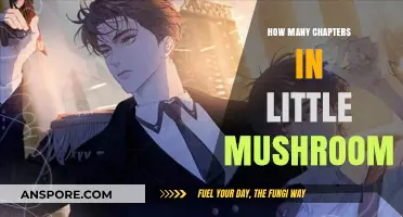 Little Mushroom's Chapters: A Comprehensive Guide