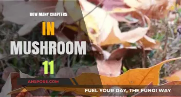 Mushroom 11: Exploring the Chapters