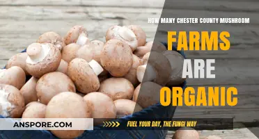 Chester County's Organic Mushroom Farms: How Many Exist?