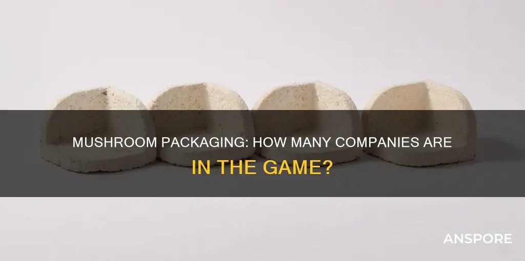 how many companies sell mushroom packaging