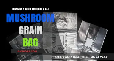 Mushroom Grain Bag: Cubic Inches and 5lb Capacity