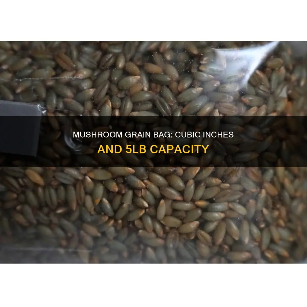 how many cubic inches in a 5lb mushroom grain bag