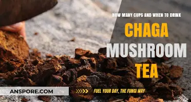 Chaga Tea: Cups and Schedule for Optimal Benefits