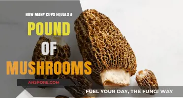Mushroom Measurements: Cups to Pounds