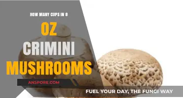 Mushroom Measurements: Cups and Oz Conversions