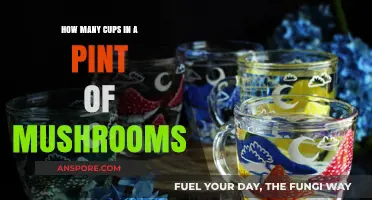 Mushroom Measurements: Cups in a Pint