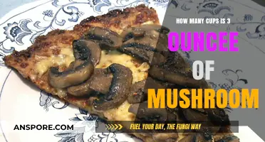 Converting Mushrooms: Cups and Ounces