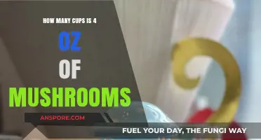 Mushroom Measurements: 4 oz Equals How Many Cups?