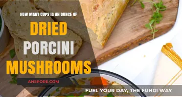 Dried Porcini Mushrooms: How Many Cups in an Ounce?
