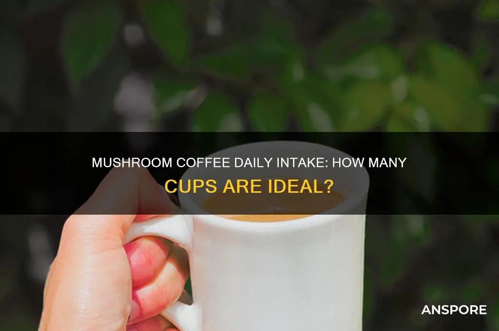 how many cups of mushroom coffee per day