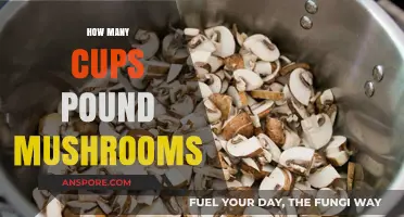 Mushroom Measurements: Cups in a Pound