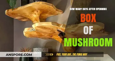 Fresh Mushrooms: How Long Do They Last?