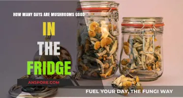 Mushroom Freshness Guide: How Long Do They Last in the Fridge?