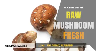 Fresh Mushrooms: How Long Do They Last?