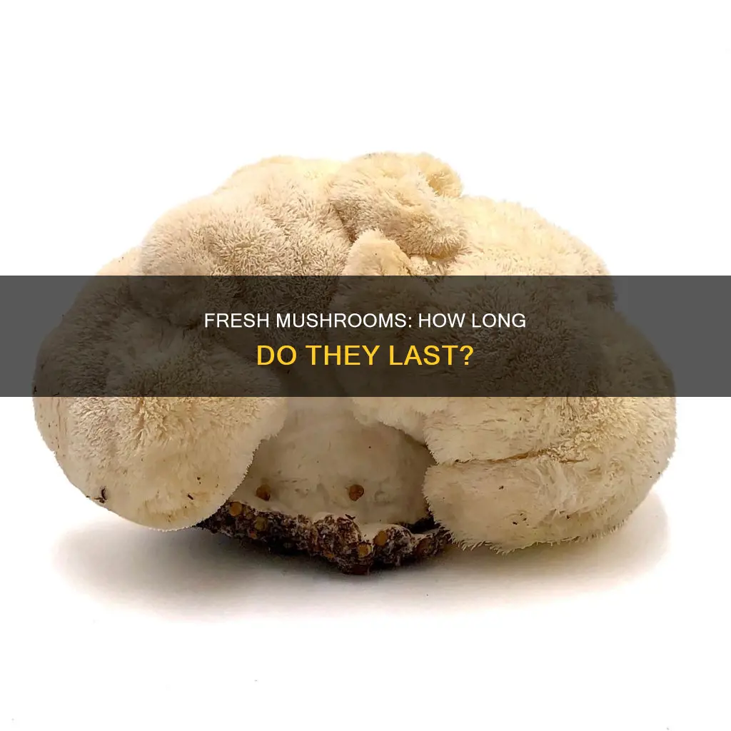 how many days are raw mushroom fresh