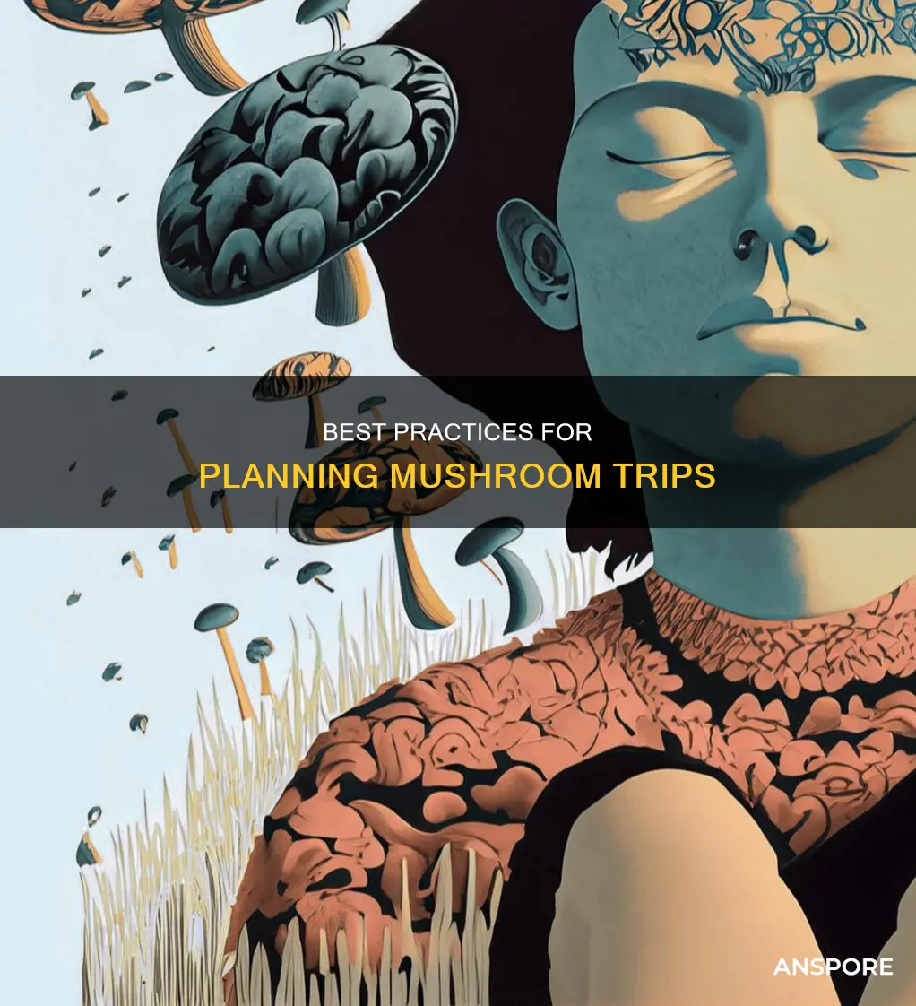 how many days between mushroom trips