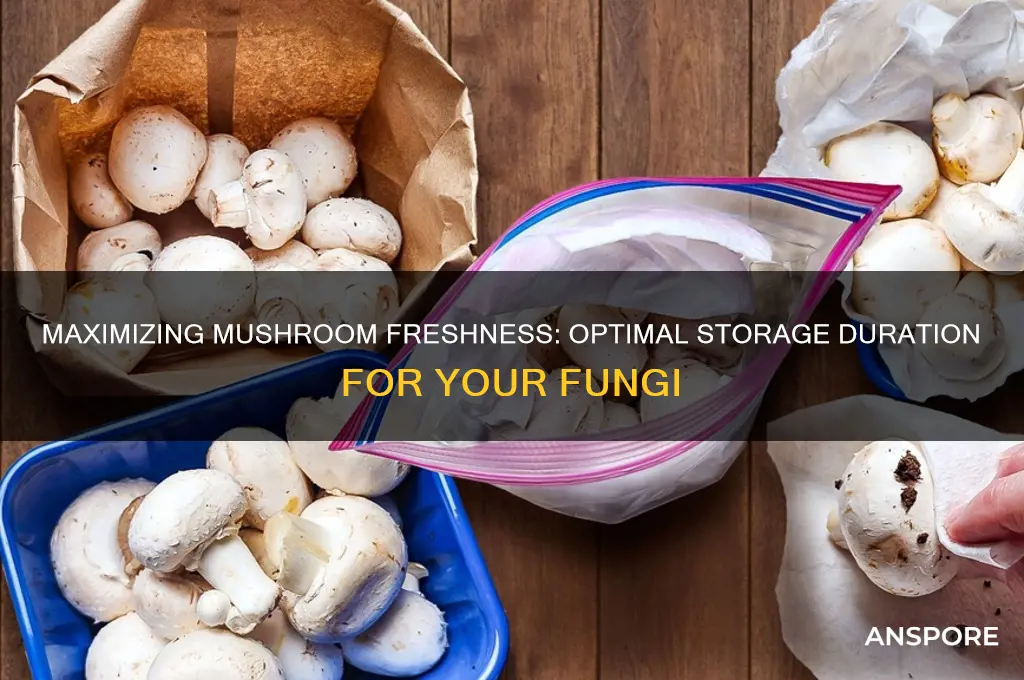 how many days can we store mushrooms