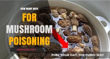 Mushroom Poisoning Timeline: Understanding Symptoms and Recovery Days