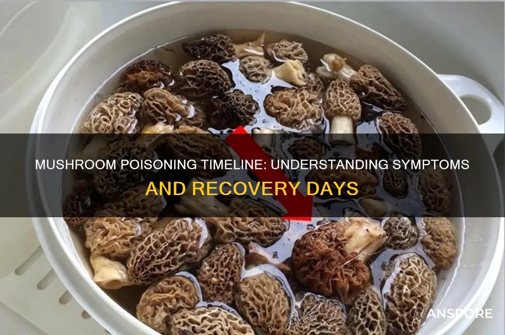 how many days for mushroom poisoning