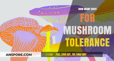 Managing Mushroom Tolerance: Days to Reset