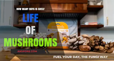 Mushrooms: How Long Do They Last?