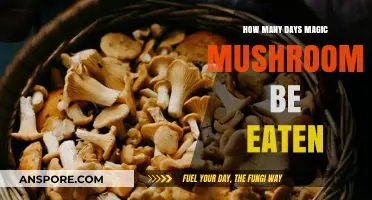 Magic Mushrooms: Optimal Frequency and Safe Consumption Days Explained