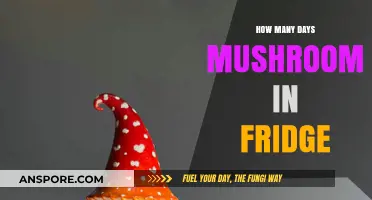 Mushrooms: Freshness and Fridge Life