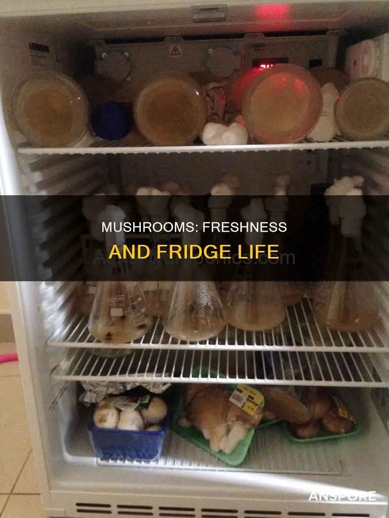 how many days mushroom in fridge