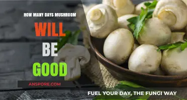 Shelf Life of Mushrooms: How Long Do They Stay Fresh?
