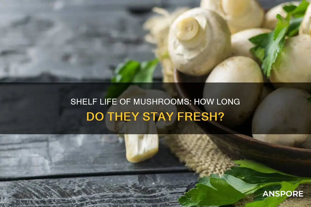 how many days mushroom will be good