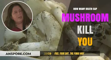 Death Cap Mushrooms: A Few Bites Can Kill