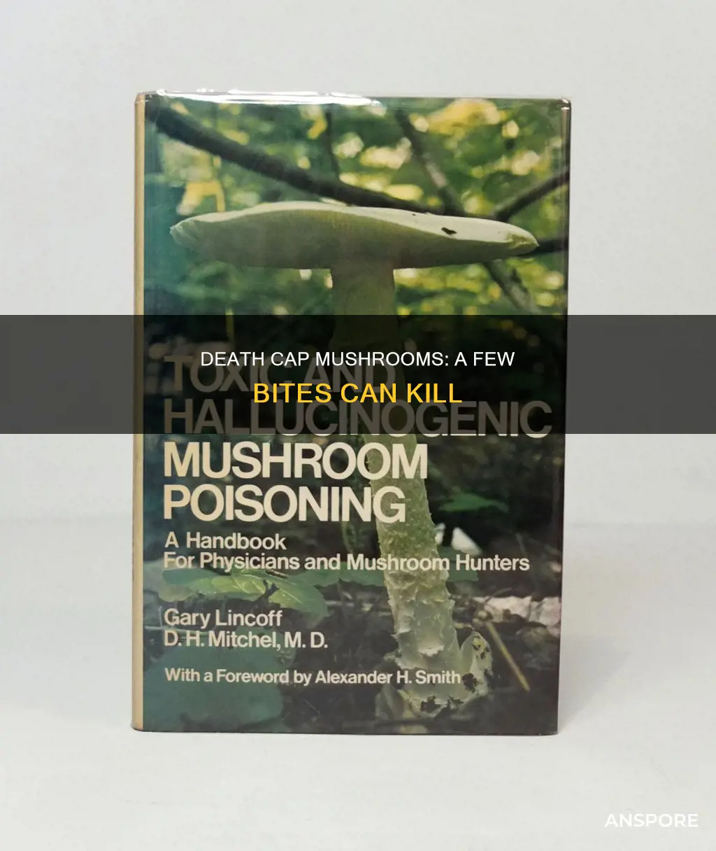 how many death cap mushrooms kill you