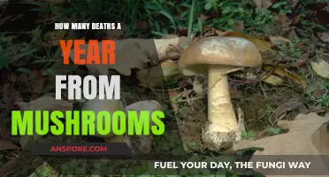 Deadly Fungi: Mushroom Poisoning Fatalities Annually