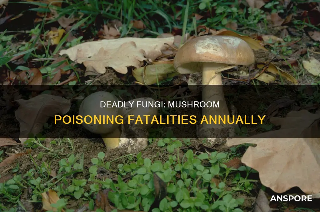 how many deaths a year from mushrooms