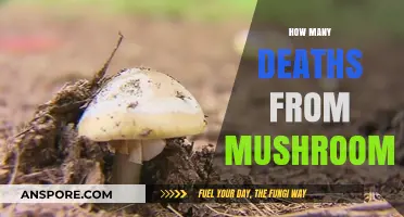 Mushroom Poisoning: A Deadly Mistake