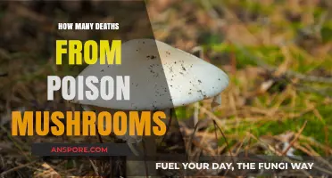 Deadly Harvest: Poisonous Mushroom Fatalities and Prevention Tips