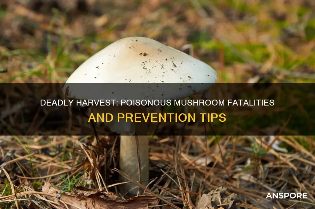 how many deaths from poison mushrooms