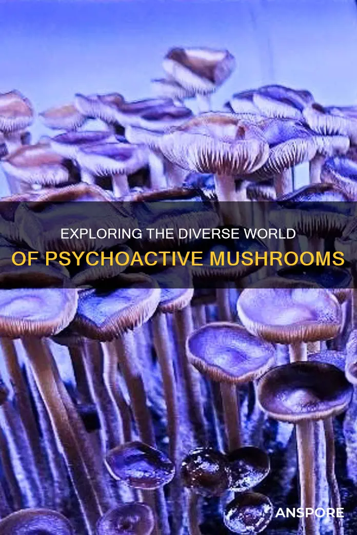 how many different psychoactive mushrooms
