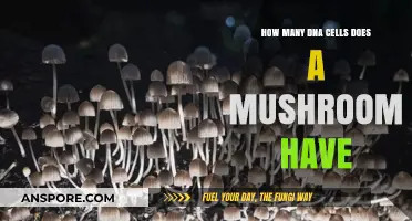 Mushrooms' DNA: A Cellular Mystery