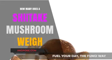 Shiitake Mushrooms: Weighing the Facts